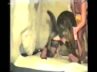 Two babes have threesome with dog